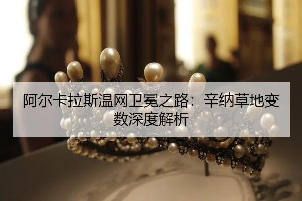 a-er-ka-la-si-wen-wang-wei-mian-zhi-lu-xin-na-cao-di-bian-shu-shen-du-jie-xi-2-147.jpg