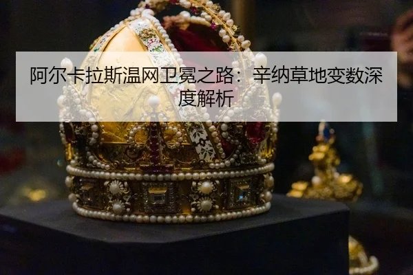 a-er-ka-la-si-wen-wang-wei-mian-zhi-lu-xin-na-cao-di-bian-shu-shen-du-jie-xi-3-121.jpg