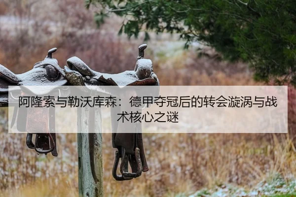 阿隆索与勒沃库森：德甲夺冠后的转会漩涡与战术核心之谜