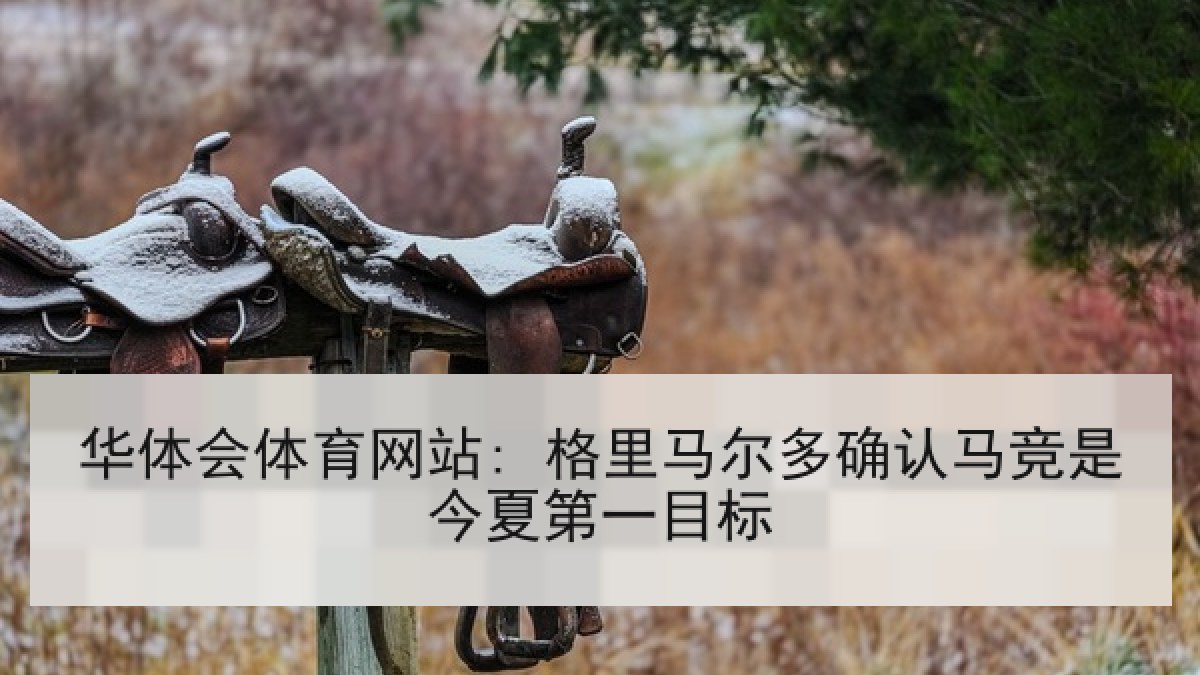 华体会体育网站: 格里马尔多确认马竞是今夏第一目标