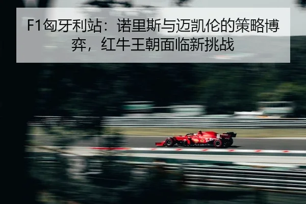 xiong-ya-li-zhan-nuo-li-si-yu-mai-kai-lun-de-ce-lve-bo-yi-hong-niu-wang-chao-mian-lin-xin-tiao-zhan-2-778.jpg