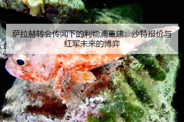 萨拉赫转会传闻下的利物浦重建：沙特报价与红军未来的博弈